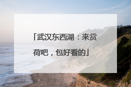 武汉东西湖：来赏荷吧，包好看的