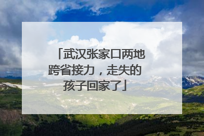 武汉张家口两地跨省接力，走失的孩子回家了
