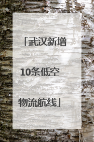 武汉新增10条低空物流航线