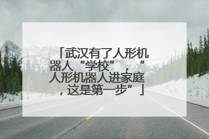 武汉有了人形机器人“学校”，“人形机器人进家庭，这是第一步”