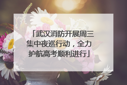 武汉消防开展周三集中夜巡行动，全力护航高考顺利进行