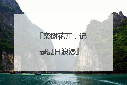 栾树花开，记录夏日浪漫