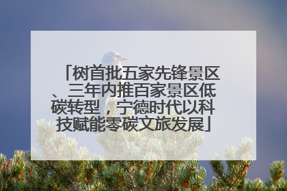 树首批五家先锋景区、三年内推百家景区低碳转型，宁德时代以科技赋能零碳文旅发展