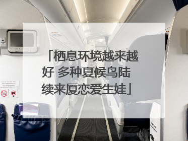 栖息环境越来越好 多种夏候鸟陆续来厦恋爱生娃