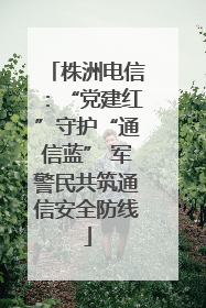 株洲电信：“党建红”守护“通信蓝” 军警民共筑通信安全防线