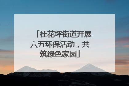桂花坪街道开展六五环保活动，共筑绿色家园