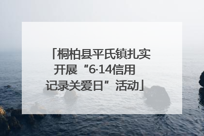 桐柏县平氏镇扎实开展“6·14信用记录关爱日”活动