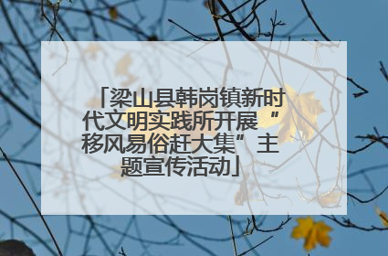 梁山县韩岗镇新时代文明实践所开展“移风易俗赶大集”主题宣传活动