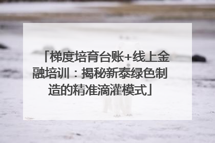 梯度培育台账+线上金融培训：揭秘新泰绿色制造的精准滴灌模式