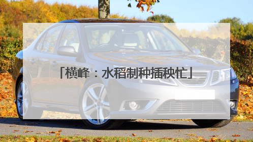 横峰：水稻制种插秧忙