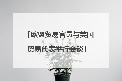 欧盟贸易官员与美国贸易代表举行会谈
