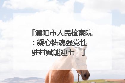 濮阳市人民检察院：凝心铸魂强党性 驻村赋能迎七一