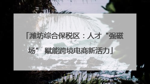 潍坊综合保税区：人才“强磁场” 赋能跨境电商新活力
