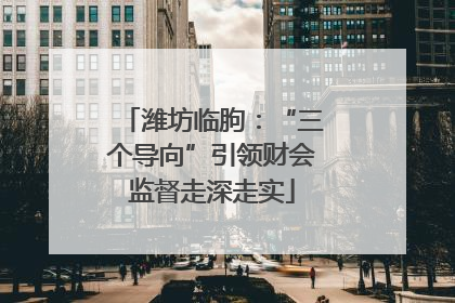 潍坊临朐：“三个导向”引领财会监督走深走实