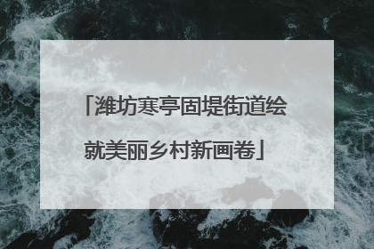潍坊寒亭固堤街道绘就美丽乡村新画卷