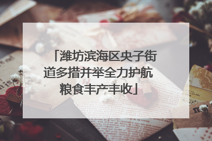 潍坊滨海区央子街道多措并举全力护航粮食丰产丰收