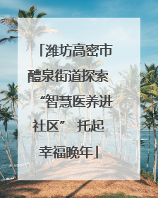 潍坊高密市醴泉街道探索“智慧医养进社区” 托起幸福晚年