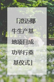 澄迈椰牛生产基地项目成功举行奠基仪式