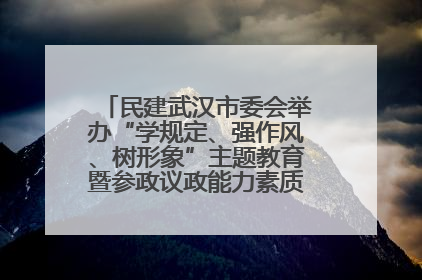 民建武汉市委会举办“学规定、强作风、树形象”主题教育暨参政议政能力素质提升培训班