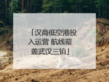 汉商低空港投入运营 航线覆盖武汉三镇