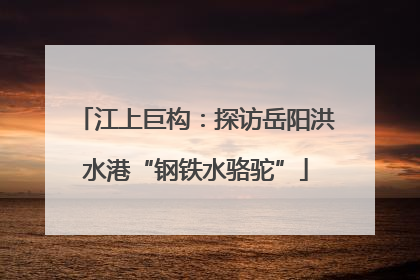 江上巨构：探访岳阳洪水港“钢铁水骆驼”