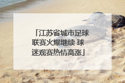 江苏省城市足球联赛火爆继续 球迷观赛热情高涨