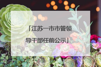 江苏一市市管领导干部任前公示