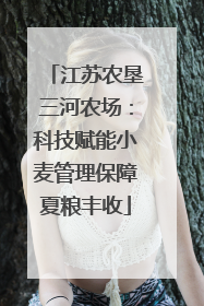 江苏农垦三河农场：科技赋能小麦管理保障夏粮丰收