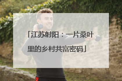 江苏射阳：一片桑叶里的乡村共富密码