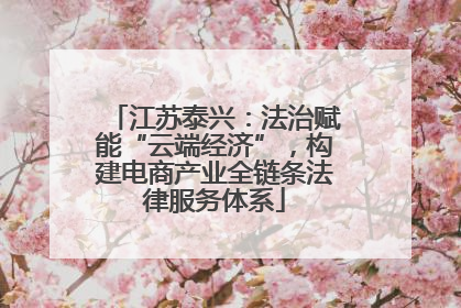 江苏泰兴：法治赋能“云端经济”，构建电商产业全链条法律服务体系