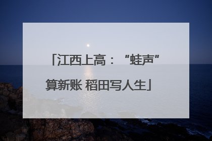 江西上高：“蛙声”算新账 稻田写人生