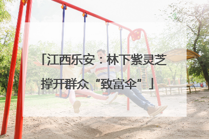 江西乐安：林下紫灵芝撑开群众“致富伞”