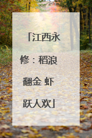 江西永修：稻浪翻金 虾跃人欢