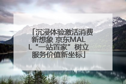 沉浸体验激活消费新想象 京东MALL“一站置家”树立服务价值新坐标