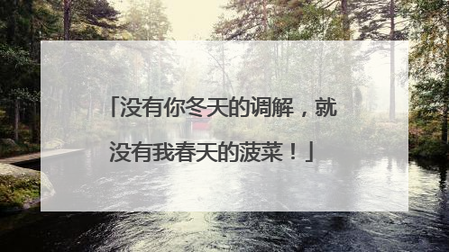 没有你冬天的调解，就没有我春天的菠菜！