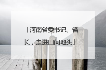 河南省委书记、省长，走进田间地头
