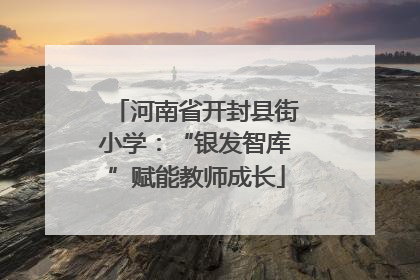 河南省开封县街小学：“银发智库”赋能教师成长