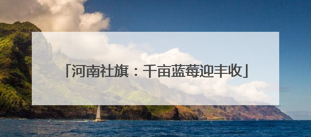河南社旗：千亩蓝莓迎丰收