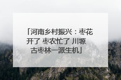 河南乡村振兴：枣花开了 枣农忙了 川塬古枣林一派生机