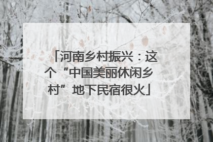 河南乡村振兴：这个“中国美丽休闲乡村”地下民宿很火