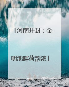 河南开封：金明池畔荷韵浓