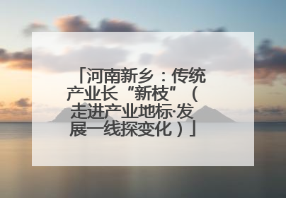 河南新乡：传统产业长“新枝”（走进产业地标·发展一线探变化）