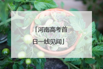 河南高考首日一线见闻
