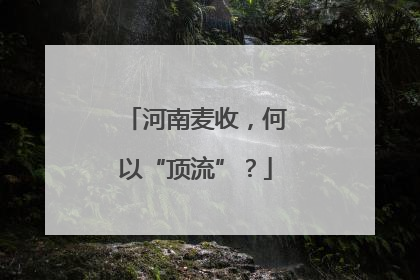 河南麦收，何以“顶流”？