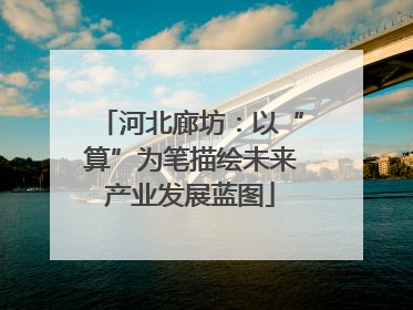河北廊坊：以“算”为笔描绘未来产业发展蓝图