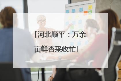河北顺平：万余亩鲜杏采收忙