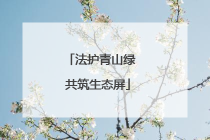 法护青山绿 共筑生态屏