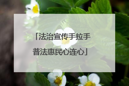 法治宣传手拉手 普法惠民心连心