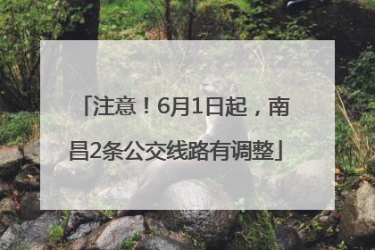 注意！6月1日起，南昌2条公交线路有调整