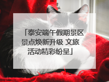 泰安端午假期景区景点焕新升级 文旅活动精彩纷呈